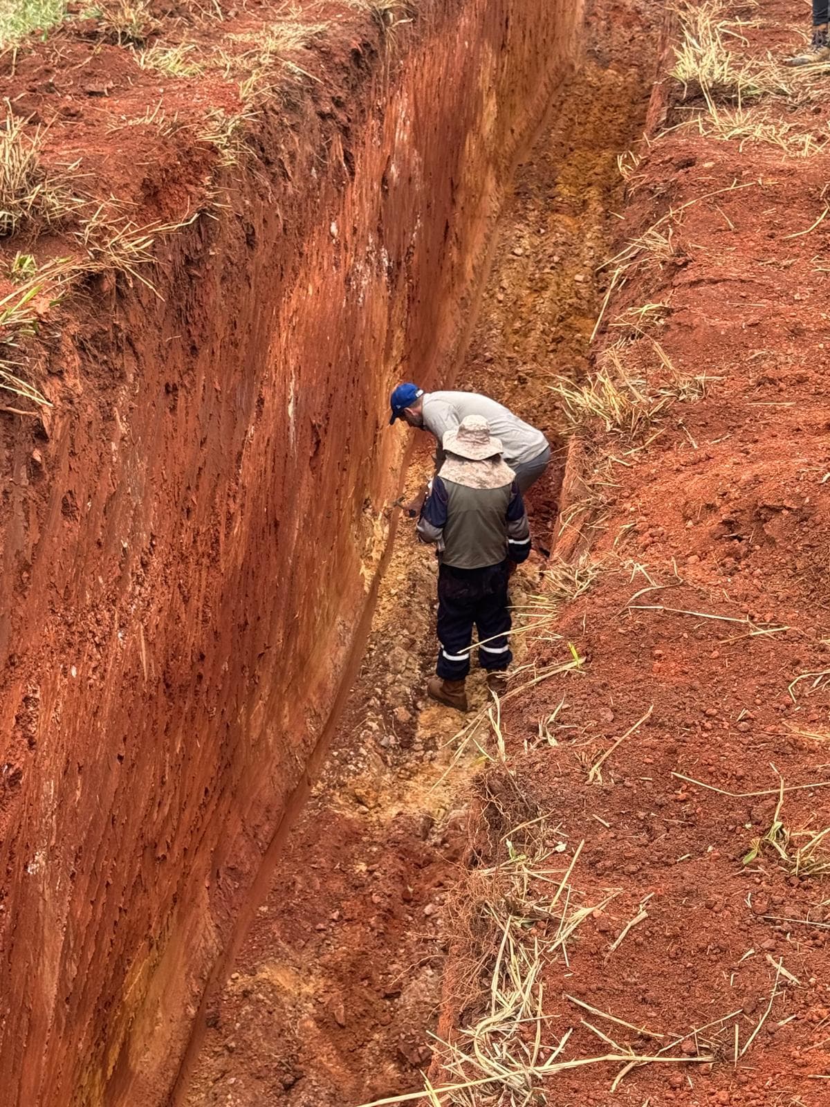 Los Clavillos, Santa Cruz — Core tray with mineralized samples.