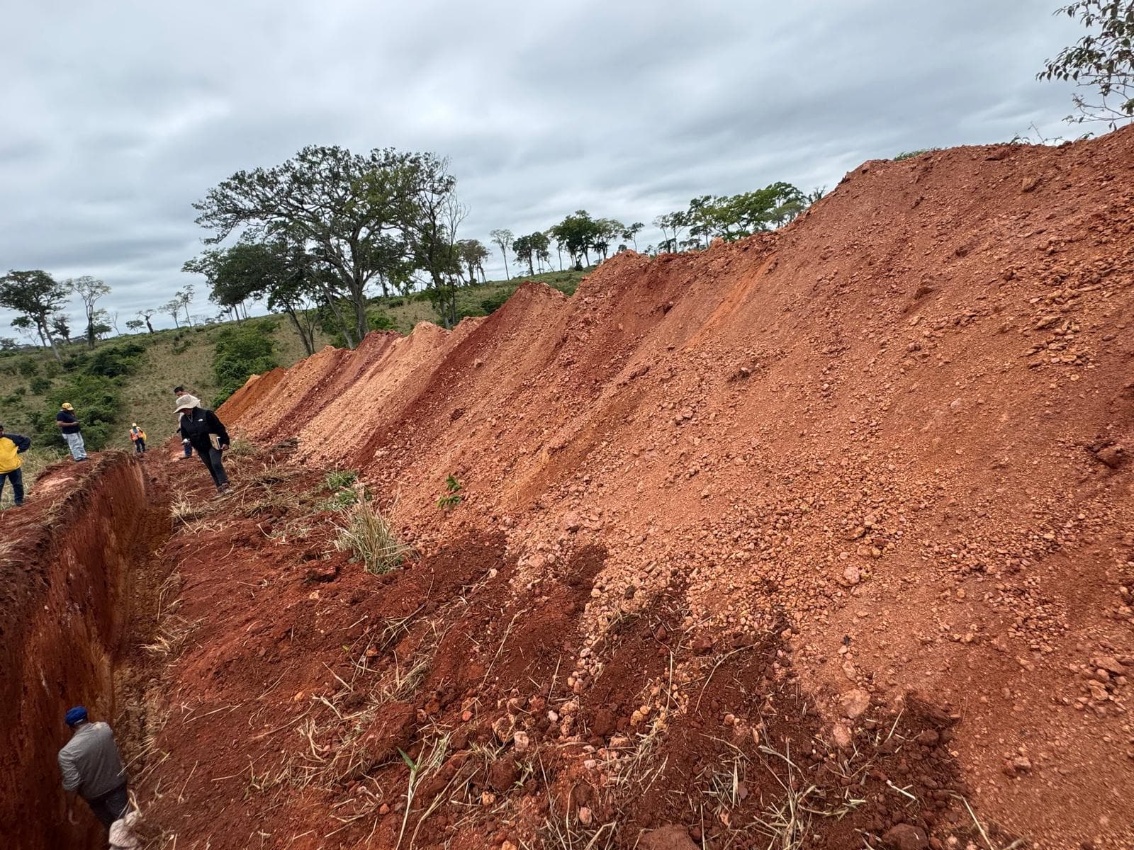 Mycelium Minerals field operations — photo 8