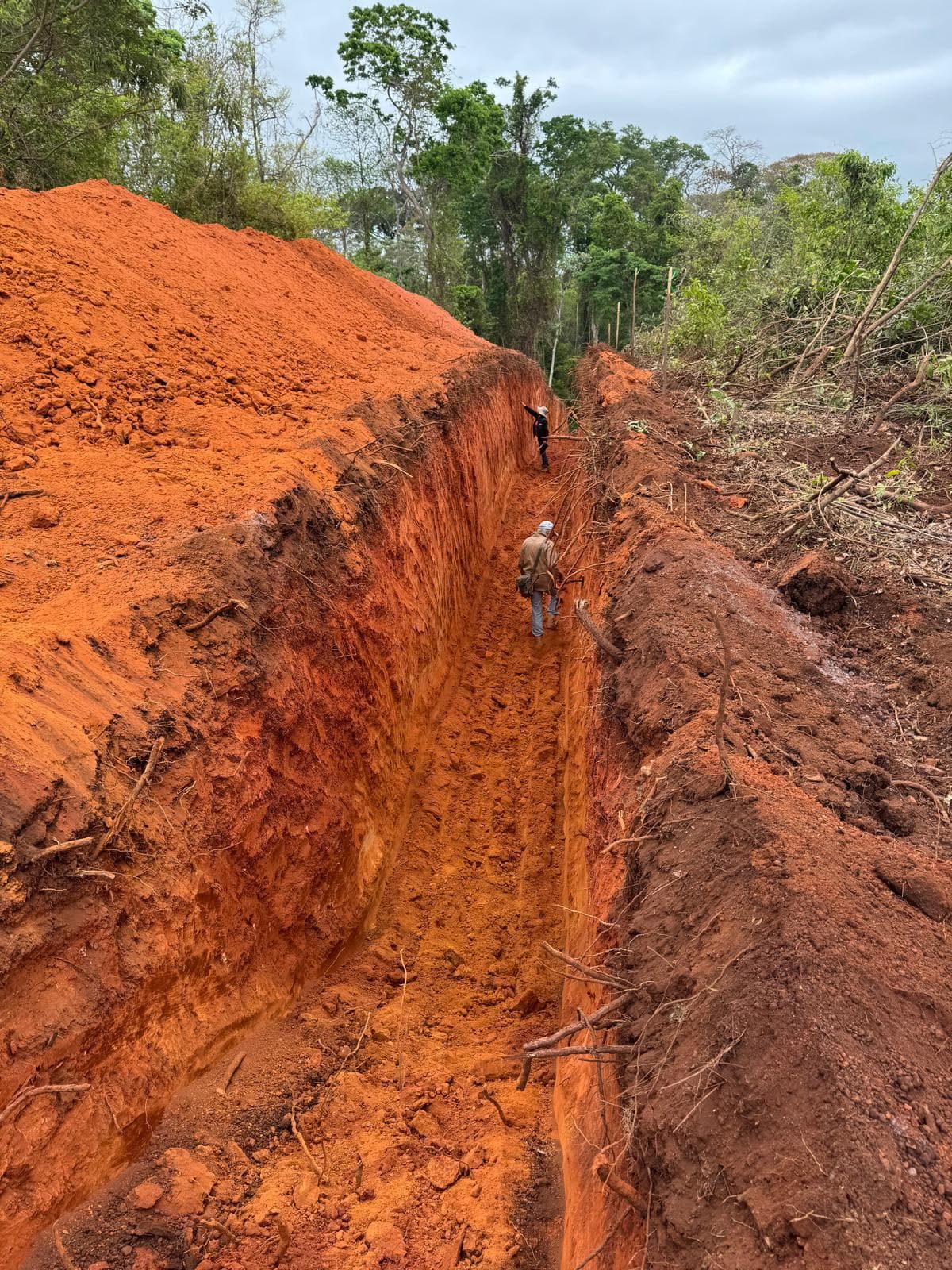 Los Clavillos, Santa Cruz — Soil sampling grid in the north zone.
