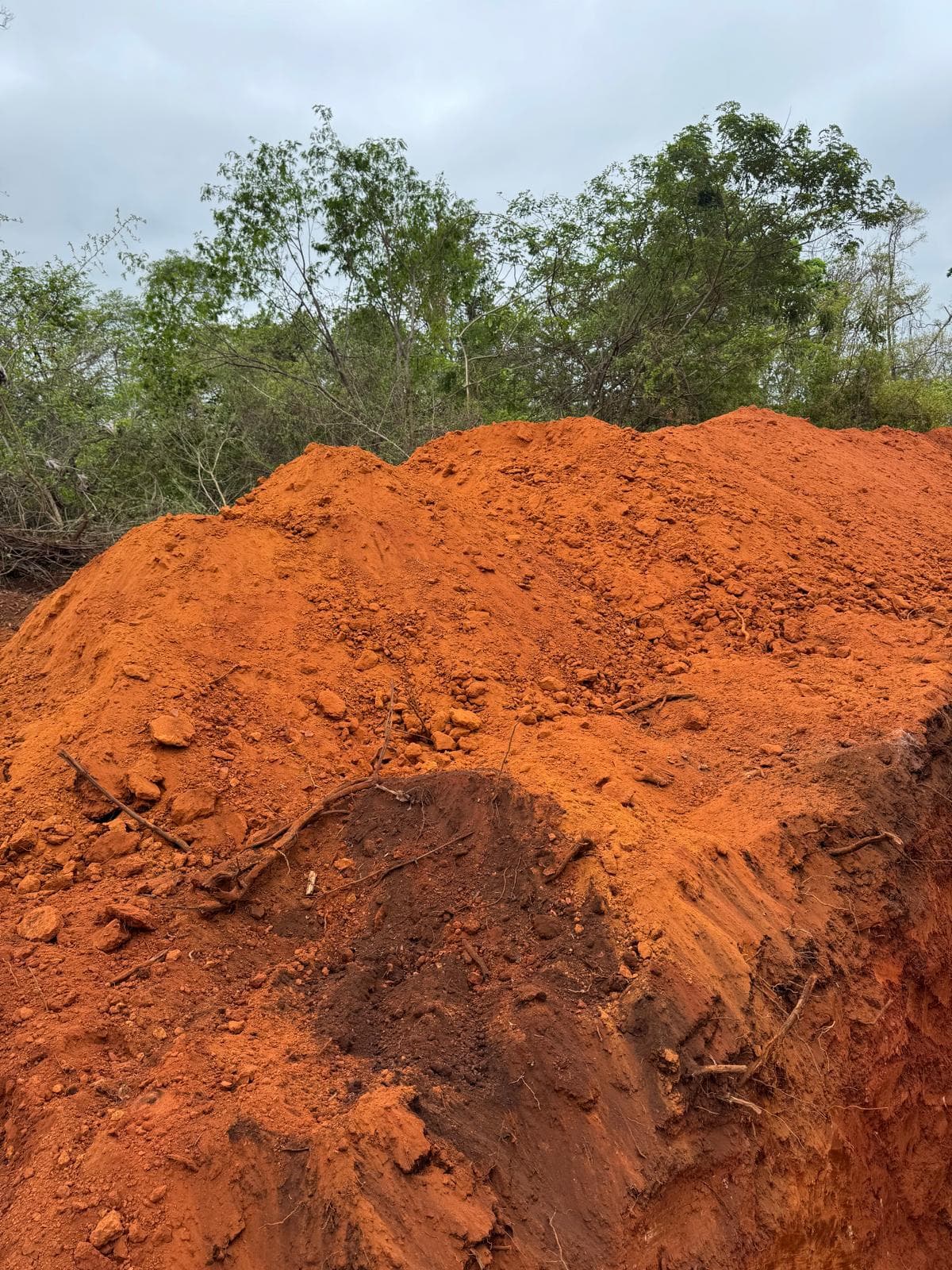 Los Clavillos, Santa Cruz — Water quality monitoring by PetroLab.