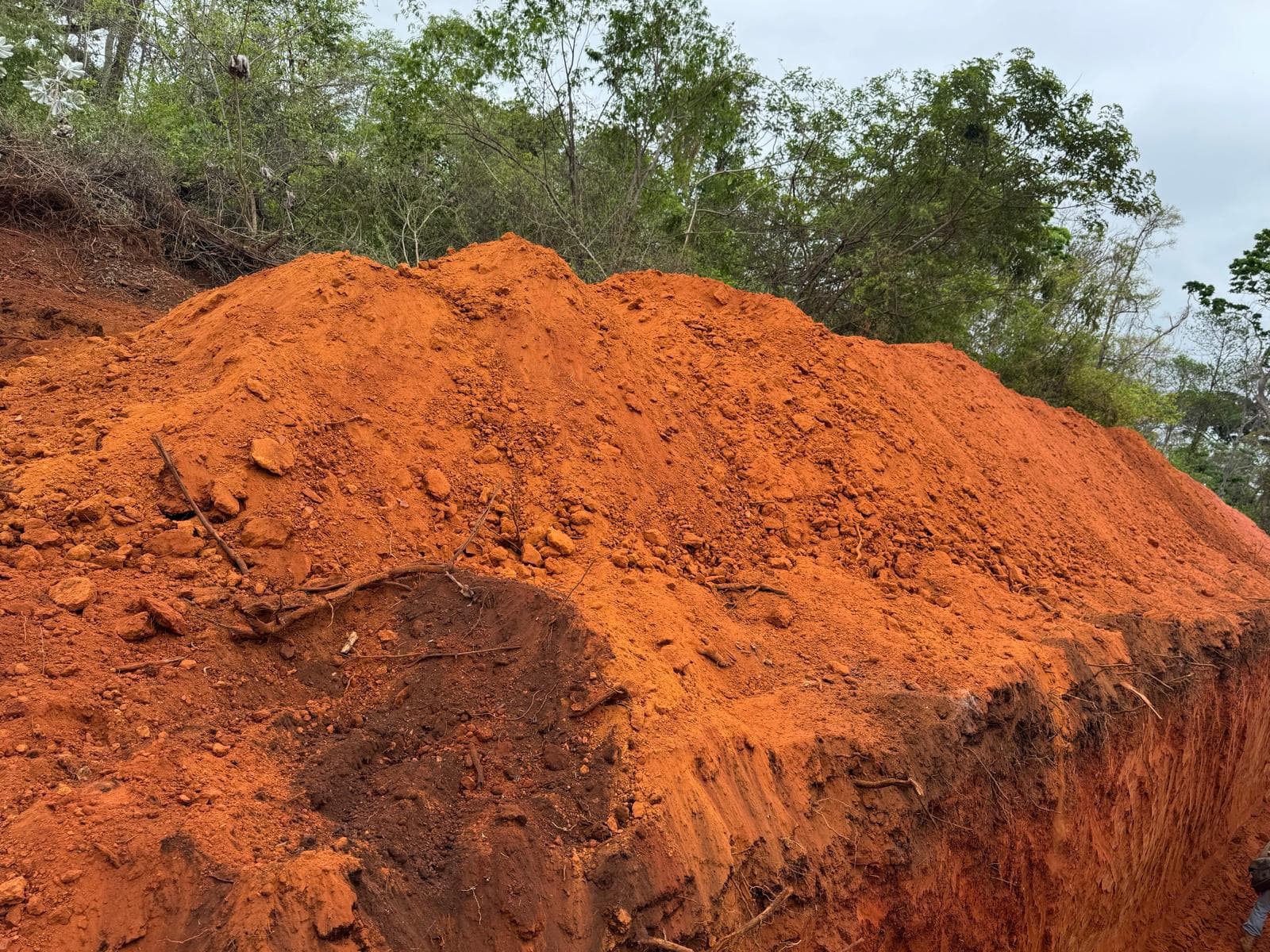 Los Clavillos, Santa Cruz — Core sample with visible mineralization.