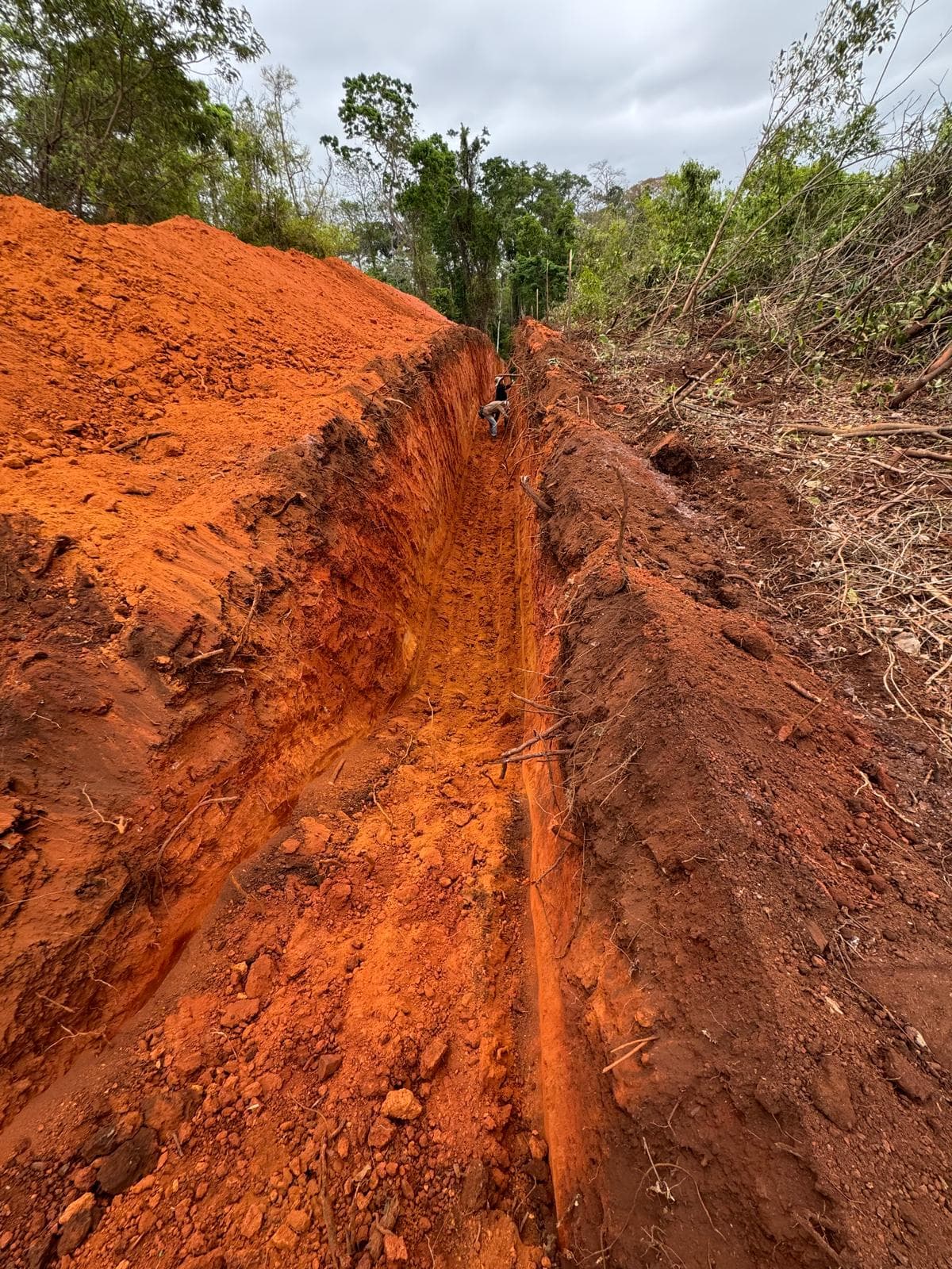 Mycelium Minerals field operations — photo 15