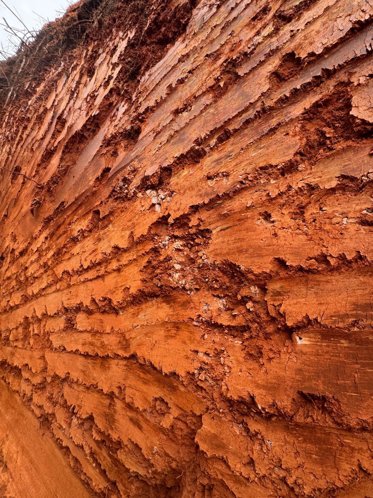 Los Clavillos, Santa Cruz — Carbonate-quartz vein outcrop.