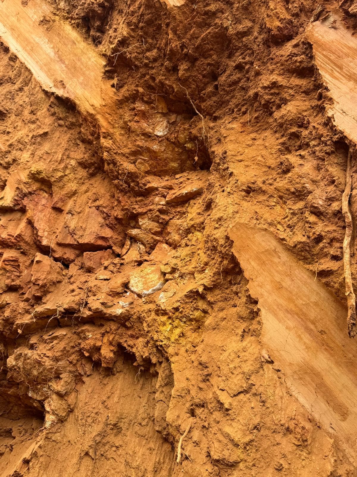 Mycelium Minerals field operations — photo 22