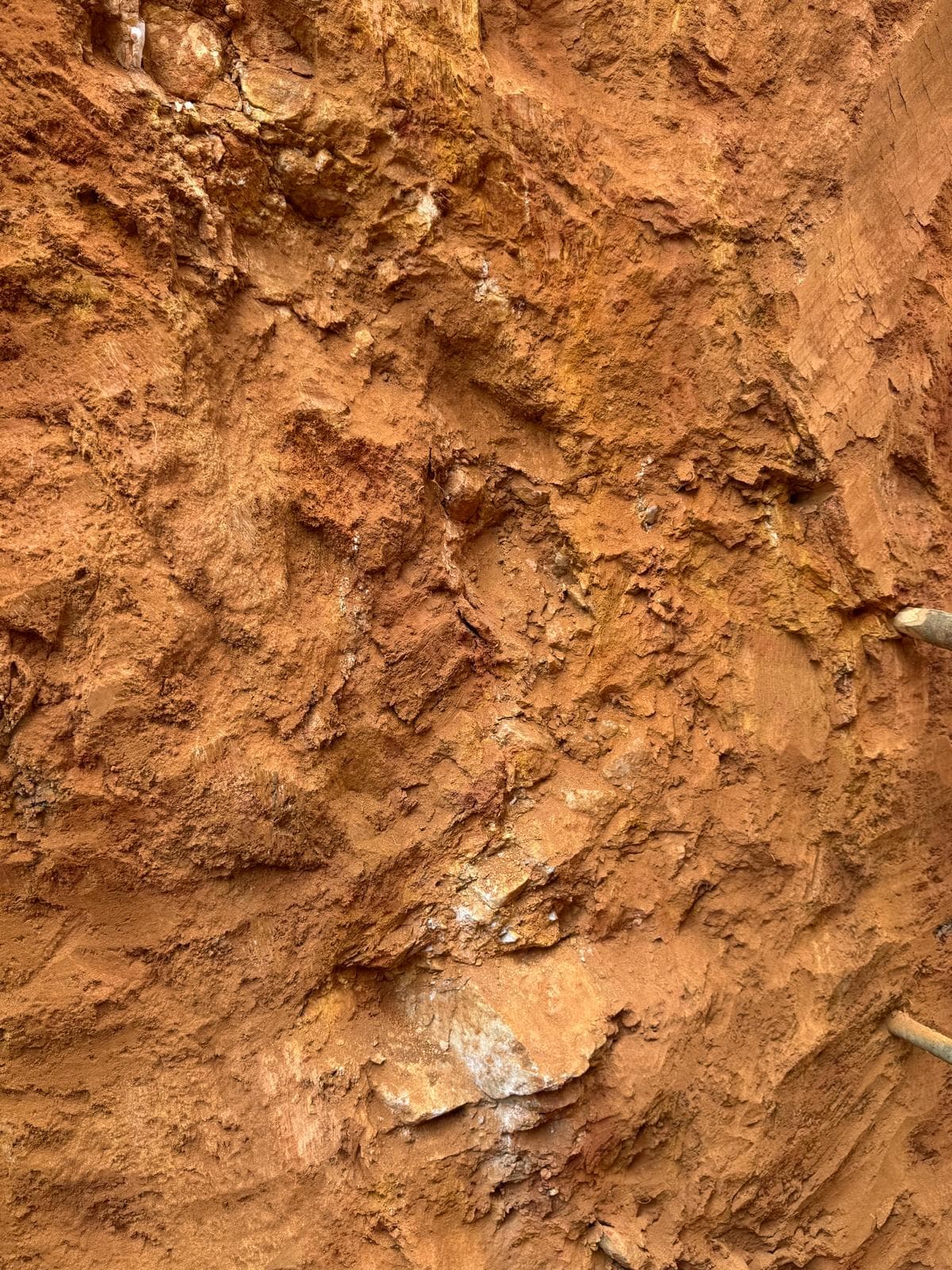 Los Clavillos, Santa Cruz — Tailings area under evaluation.