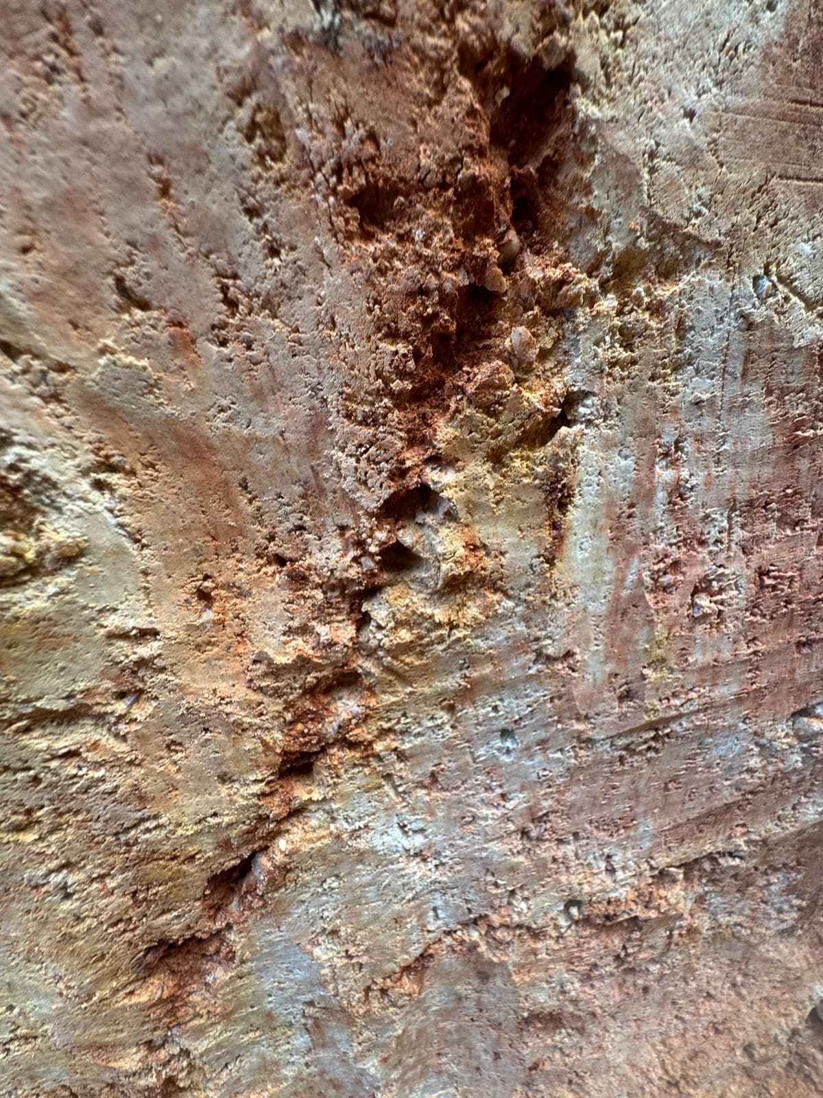 Cerrito XXI, Concepción — Geological reconnaissance traverse.