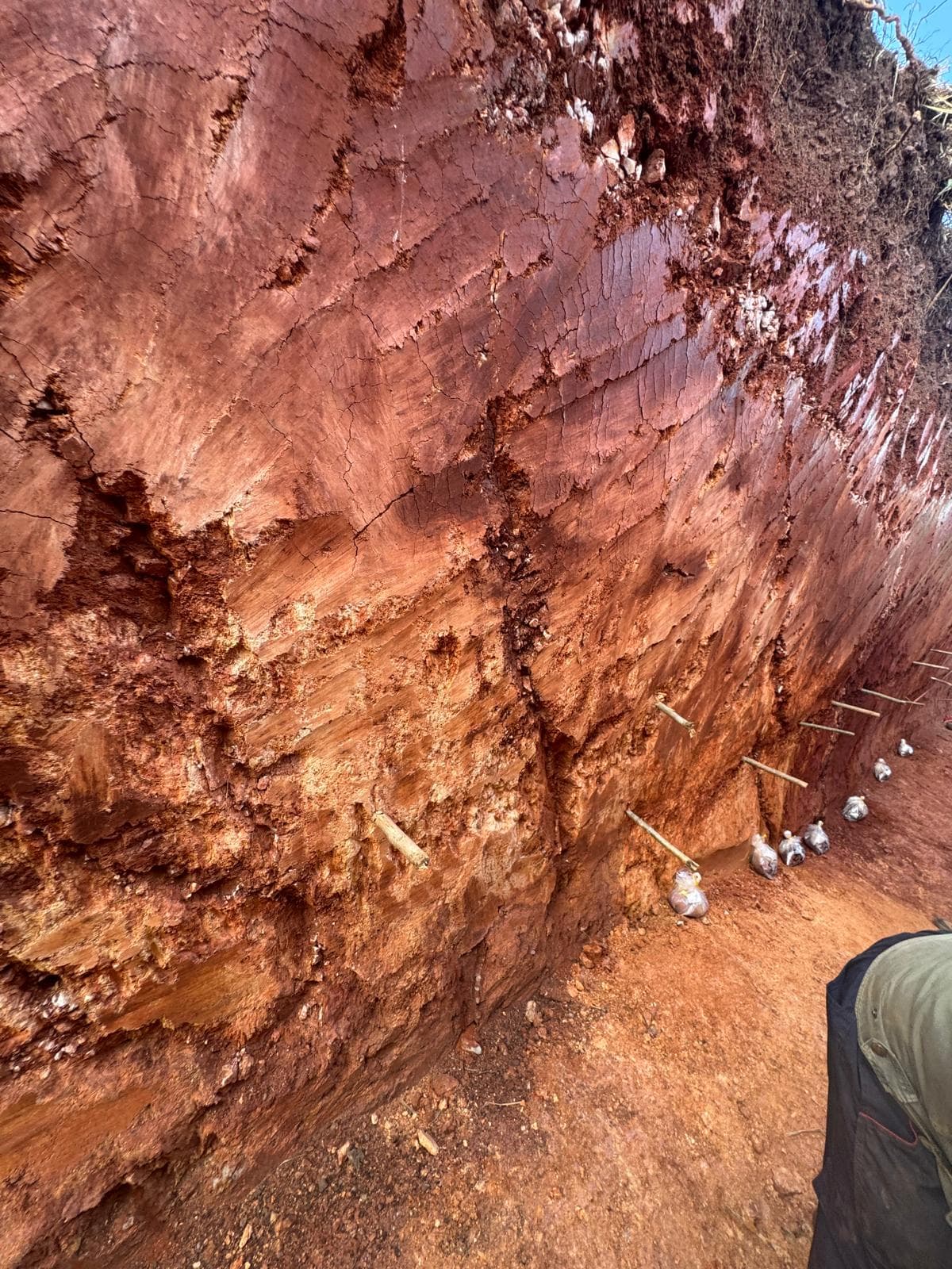 Cerrito XXI, Concepción — Quartz vein with amethyst.