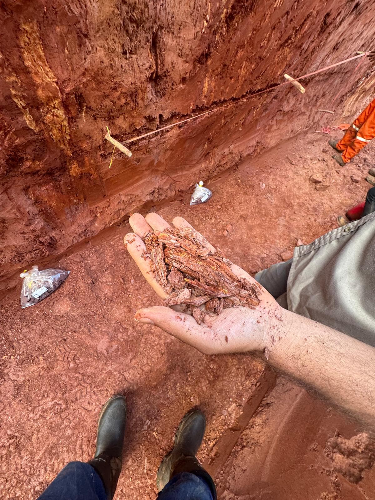 Mycelium Minerals field operations — photo 34