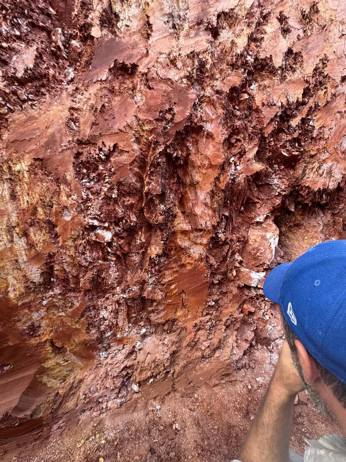 Cerrito XXI, Concepción — Soil sampling at grid point.