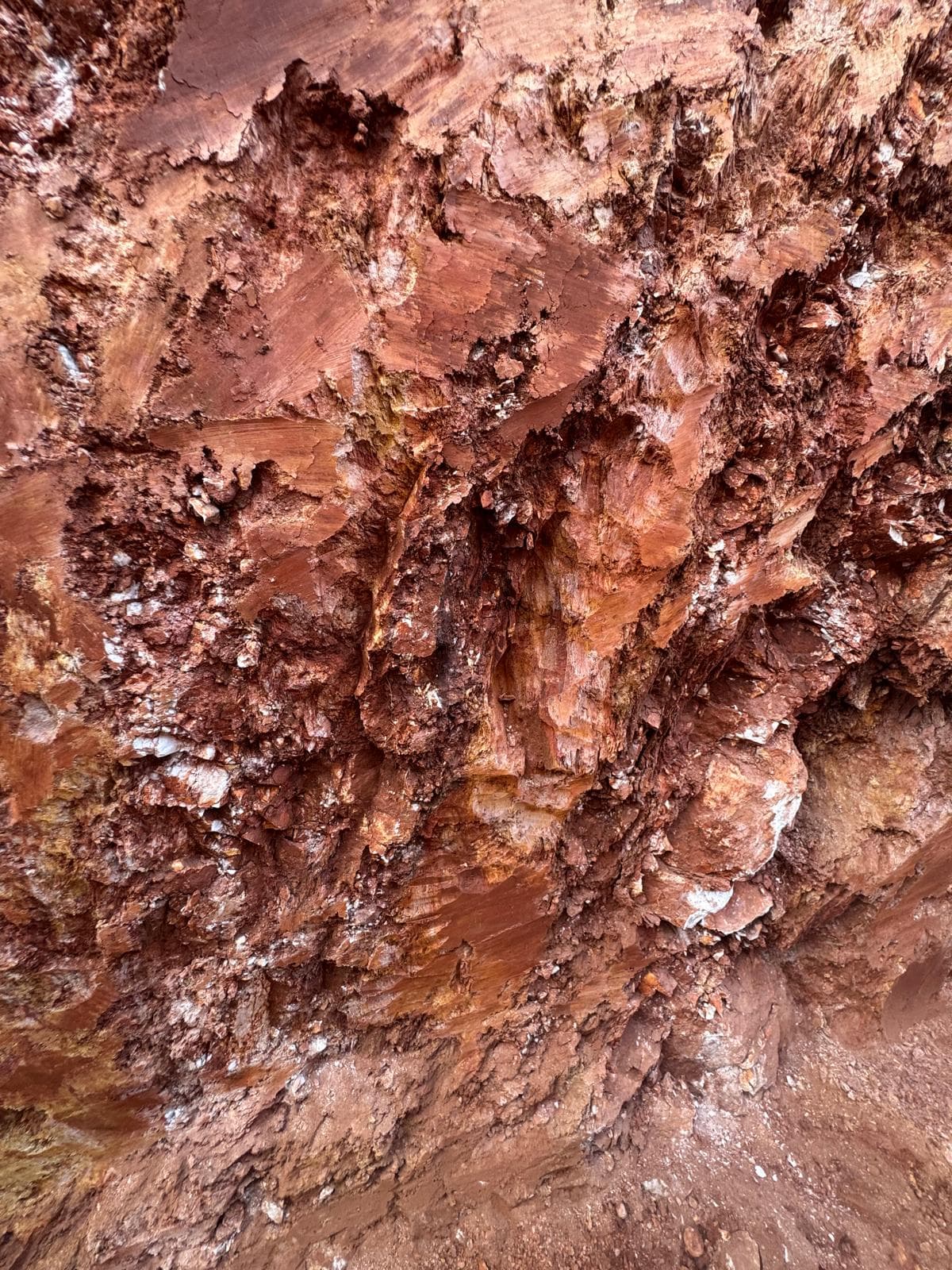 Cerrito XXI, Concepción — K-feldspar megacrysts in gneiss.