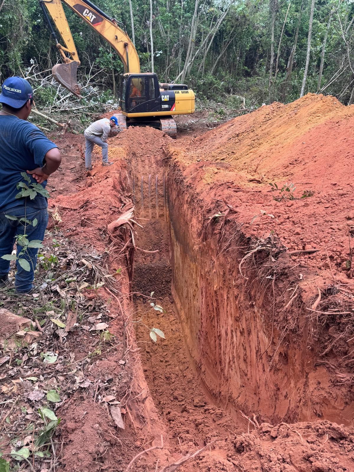Cerrito XXI, Concepción — Dense vegetation cover above outcrop.