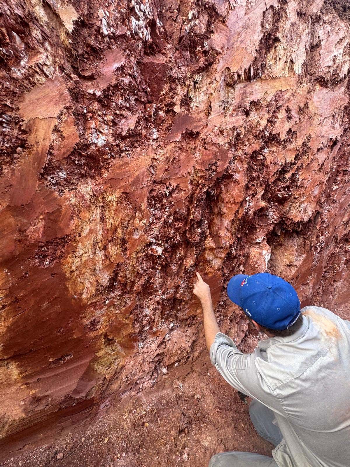 Cerrito XXII, Concepción — Brecciated quartz vein target zone.