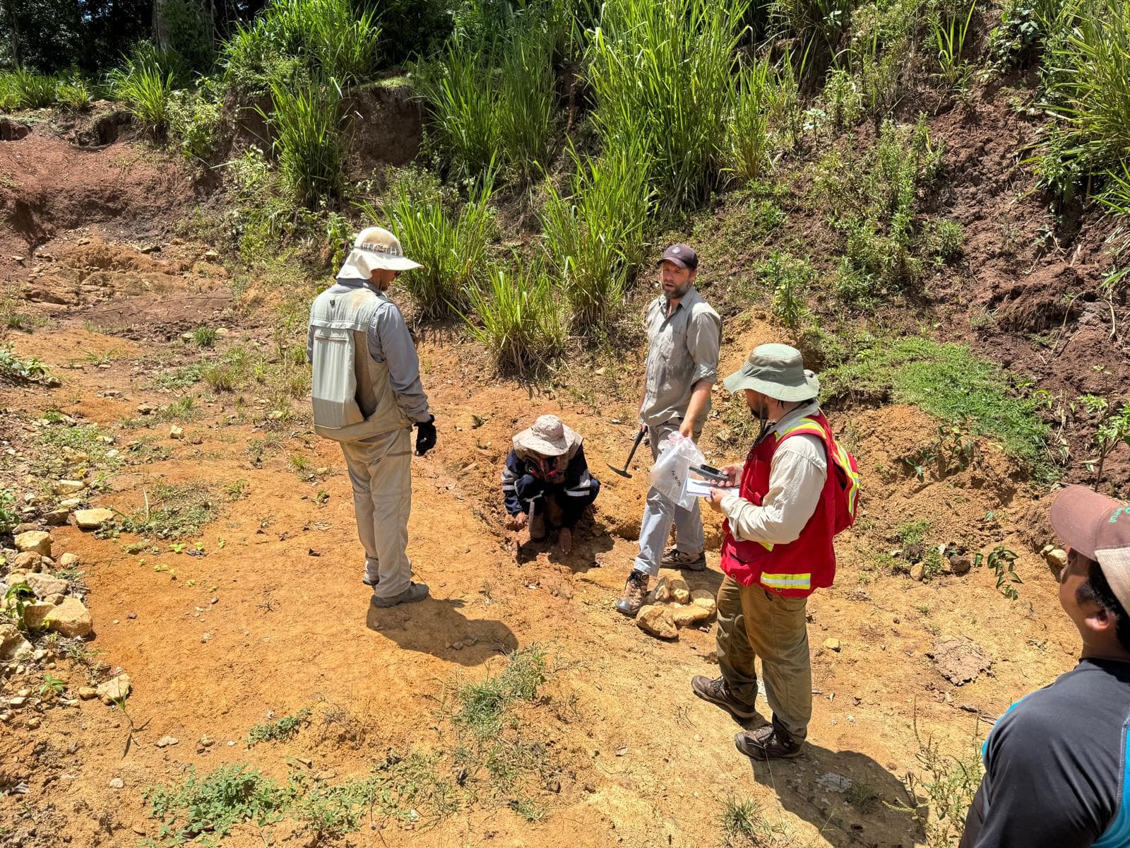 Cerrito XXII, Concepción — Iron oxide-stained quartz breccia.