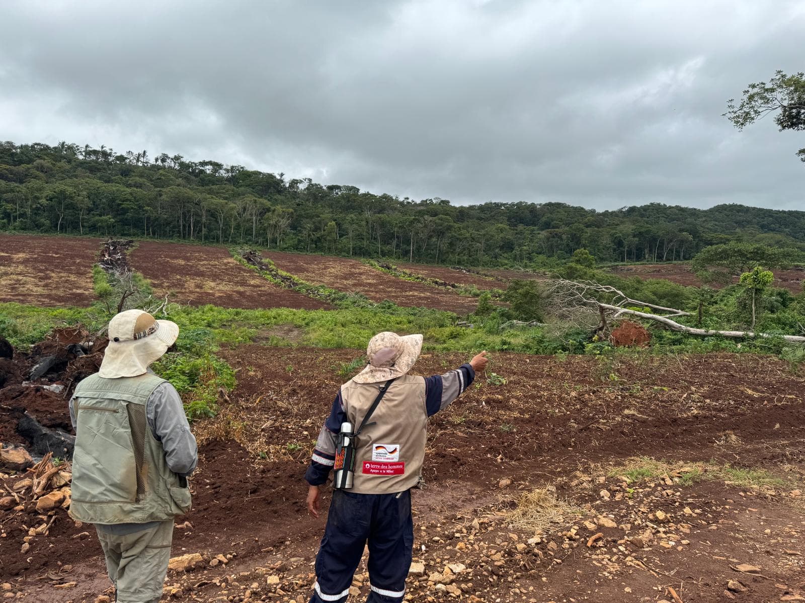 Mycelium Minerals field operations — photo 47