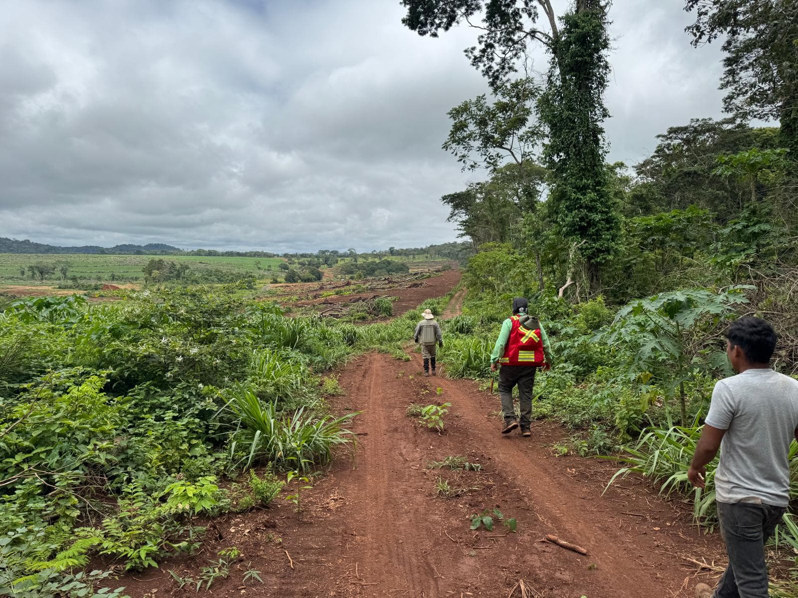 Cerrito XXII, Concepción — Priority drill target — NW corridor.