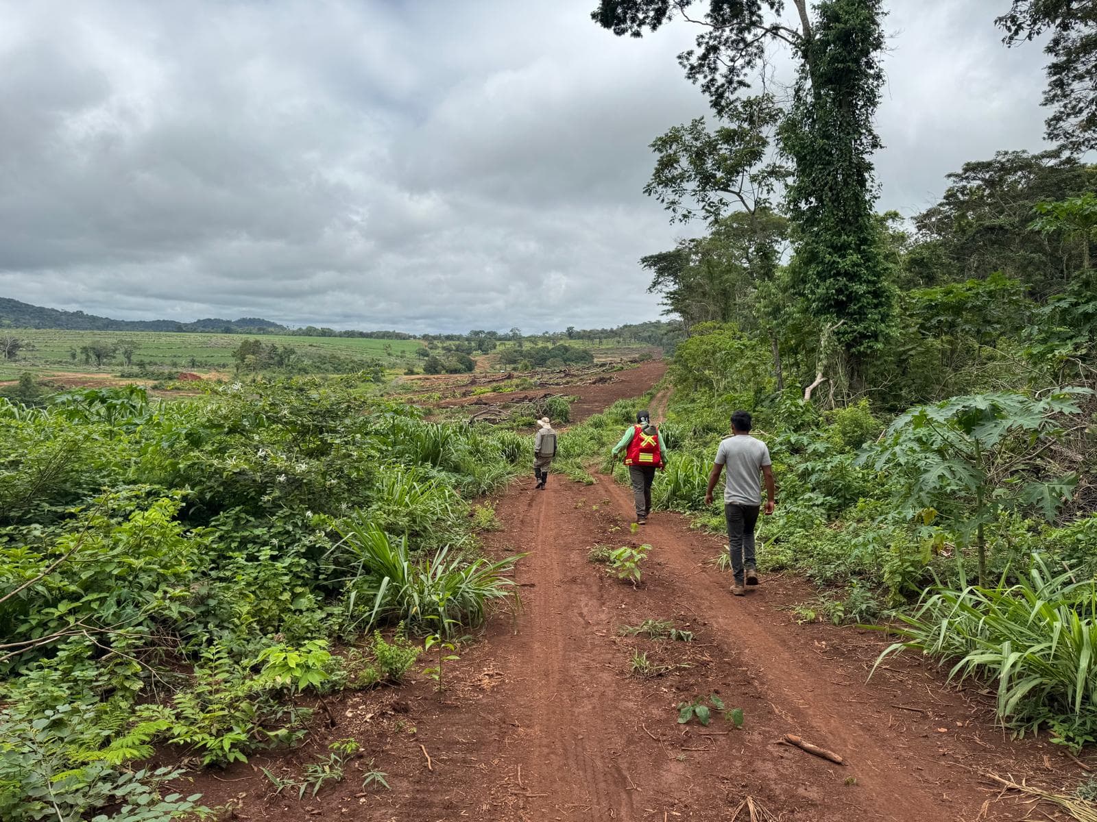 Precambrian Shield, Bolivia — Regional landscape over the concession area.