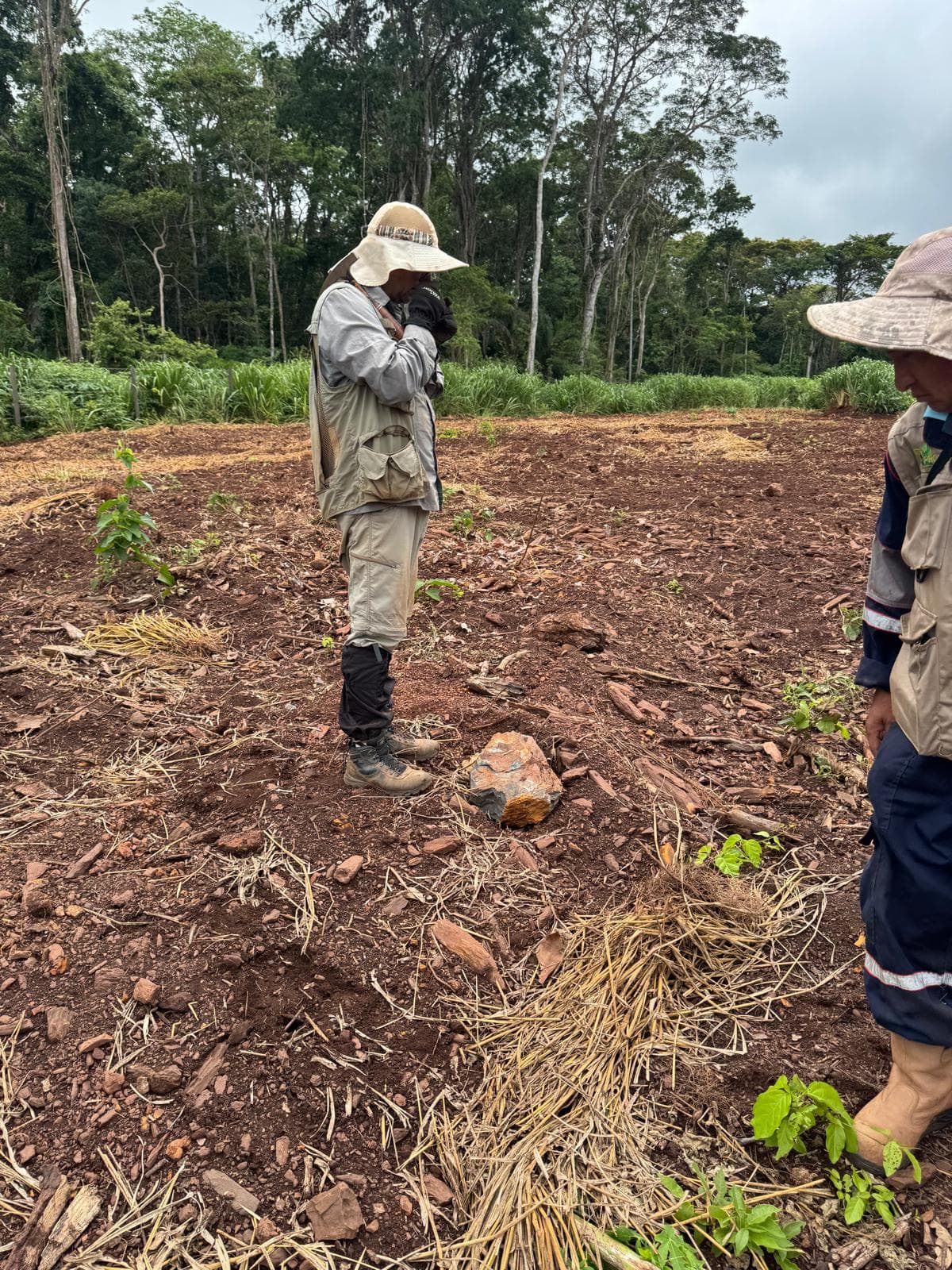Precambrian Shield, Bolivia — Bolivian Shield savanna terrain.