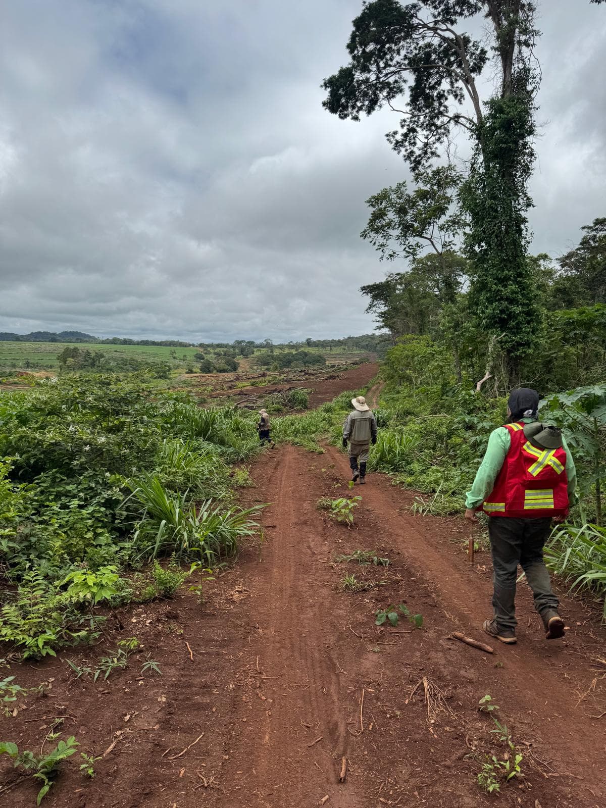 Precambrian Shield, Bolivia — Sunset over the eastern Bolivia lowlands.